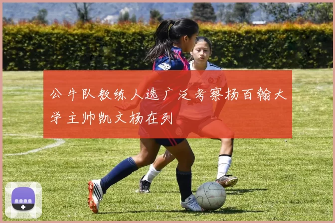 公牛队教练人选广泛考察杨百翰大学主帅凯文杨在列