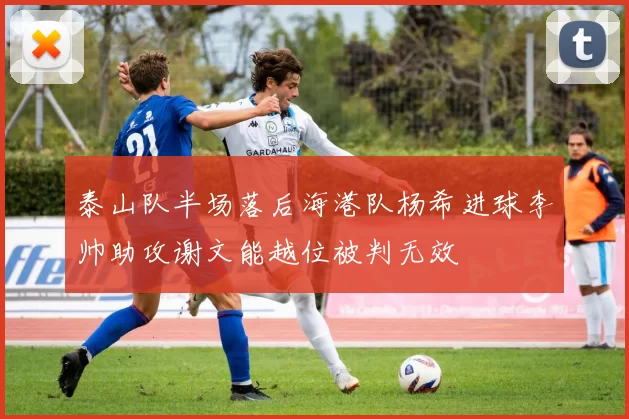 泰山队半场落后海港队杨希进球李帅助攻谢文能越位被判无效