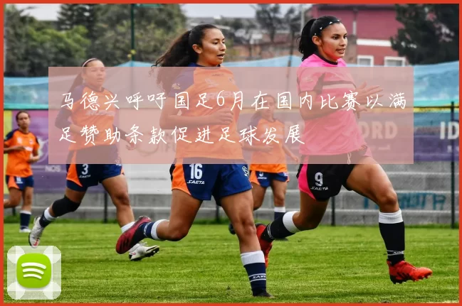 马德兴呼吁国足6月在国内比赛以满足赞助条款促进足球发展